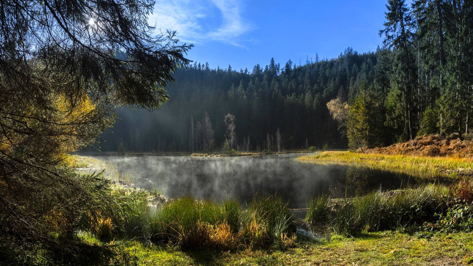 parc-national-foret-noire